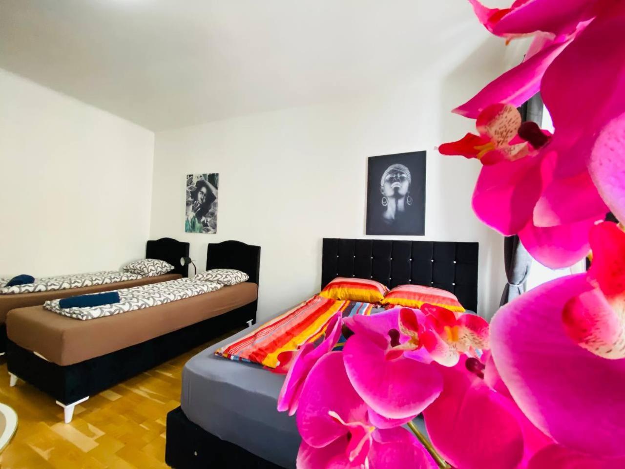 비엔나 Deluxe Studio In Josefstaedter Strasse Area 아파트 외부 사진