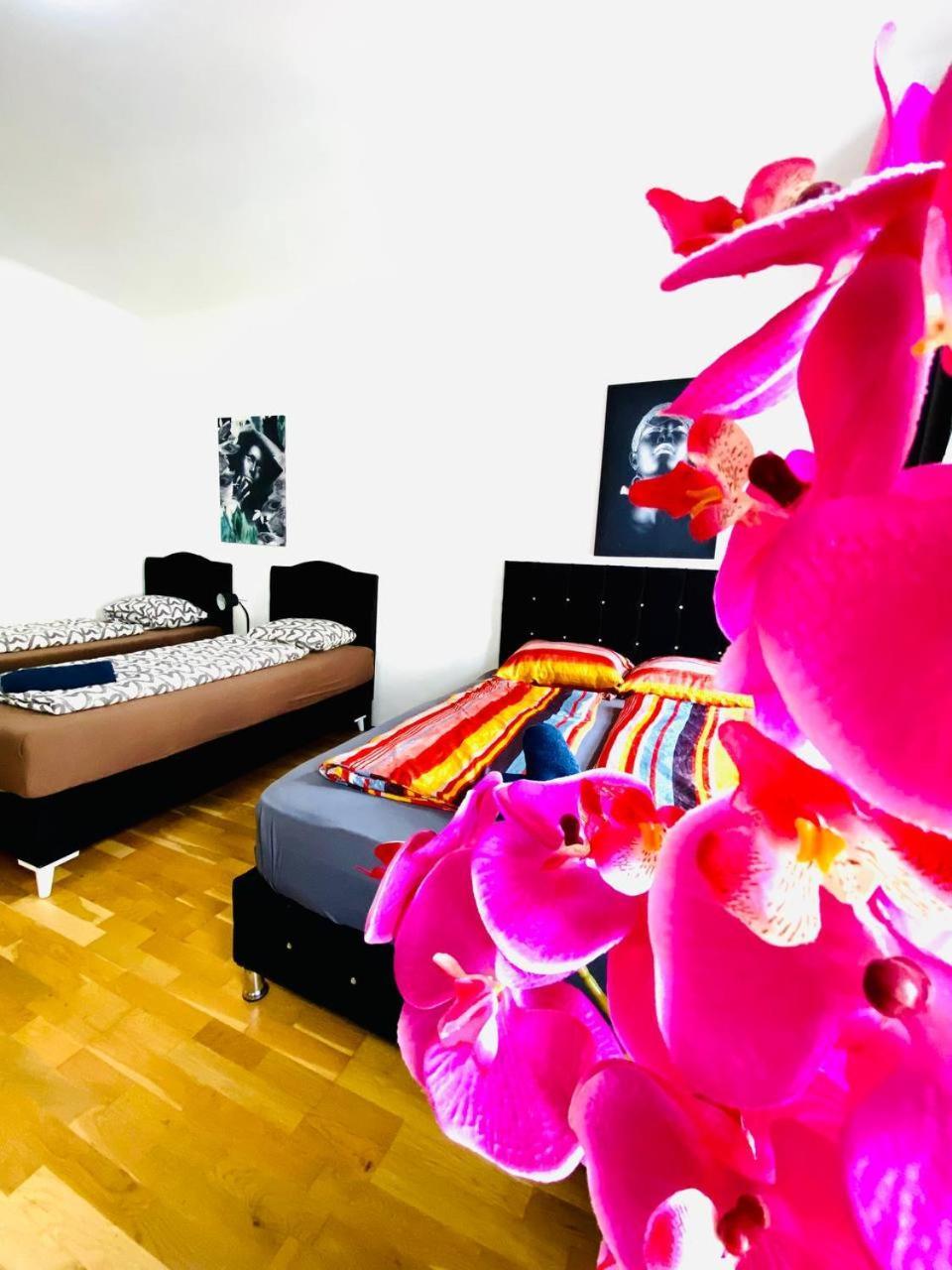 비엔나 Deluxe Studio In Josefstaedter Strasse Area 아파트 외부 사진